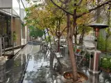 کافه لابراتوار اسپروت