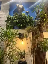 کافه باقلوا علی کیپا