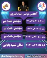 آکادمی تخصصی بوکس استاد قنبرپور