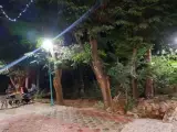 کافه کاج