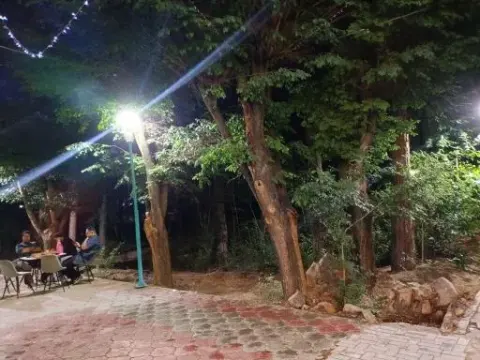 کافه کاج