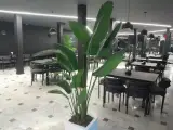 کافه رستوران هناس