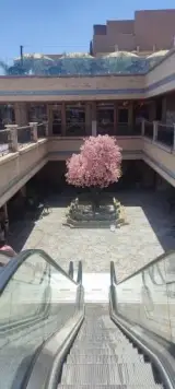 رستوران کاشانچی