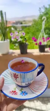 کافه بوم‌گردی انار