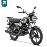 چالاک رهرومعین