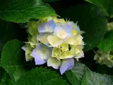 خدمات پرستاری جهان مهین