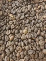 فروش عمده قهوه موسی زاده