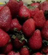 محصولات خانگی سبزینه