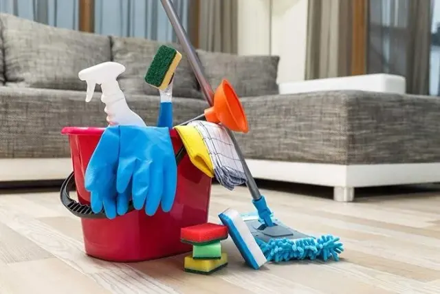 شرکت نظافتی الو اوستا