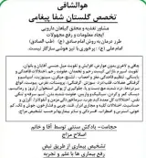 درمانگر طب سنتی (گلستان شفا پیغامی)