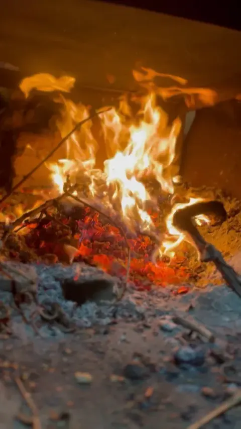 انگور طلایی