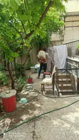 سم پاشی و خدمات گل و گیاه نودهانی