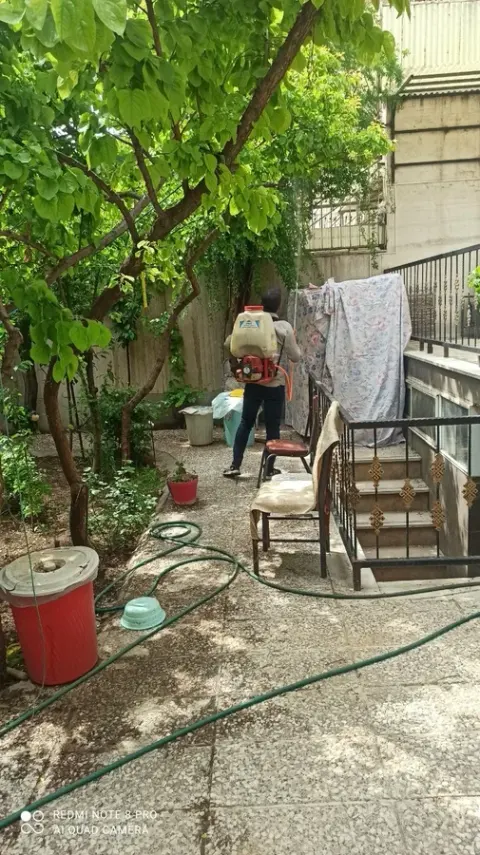 سم پاشی و خدمات گل و گیاه نودهانی
