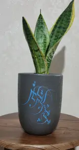 گلدان های هنری و فانتزی