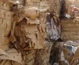 کارتن پرس دنیای من