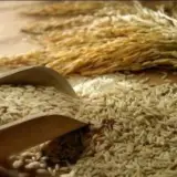فروشگاه برنج ضیافت