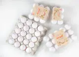 زرین پر