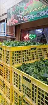 سبزینه یاس