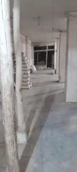 انبارداری صداقت نو