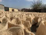 تولید و پخش لوازم کولر