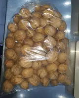 لبنیات و بستنی سنتی صدیقی