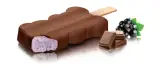 ماشین آلات بستنی دلیر