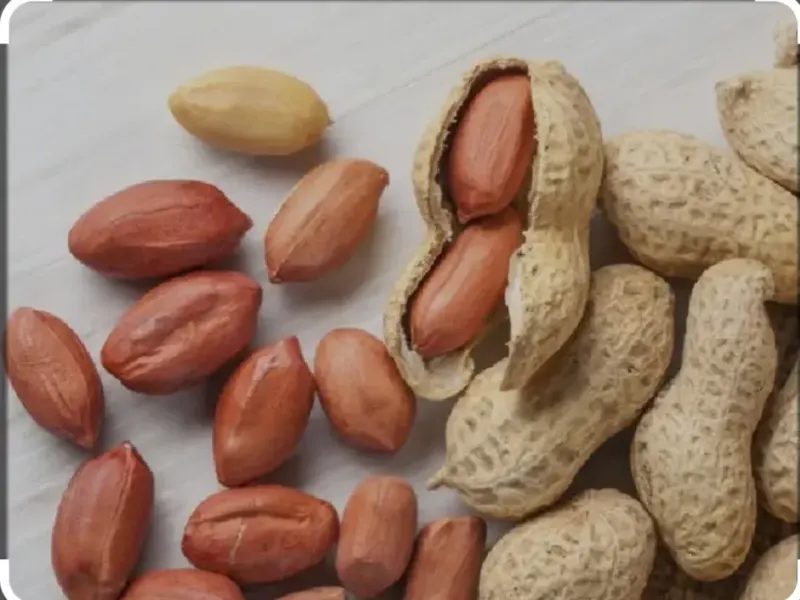 پخش برنج و بادام زمینی فلاح