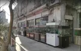 آکواریوم خلیج فارس