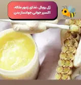 فروش مکمل های غذایی ارگانیک ژل رویال