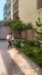 خدمات باغبانی و سمپاشی آرین