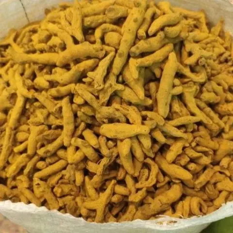 سلامت عطاران