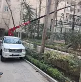 اجاره جرثقیل بالابرسبک سنگین نیسان صالحی