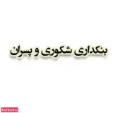بنکداری شکوری وپسران