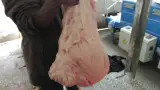 صادرات دنبه گوسفندی تصدیر لیه اغنام