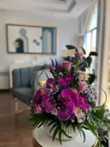 سلامت آفرین مهرافرا