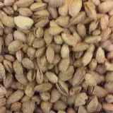 خشکبار تواضع اصل(ولیعصر)
