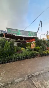تولید و توزیع گل و گیاه قلب سبز