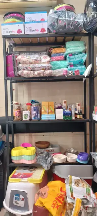 پت شاپ پینات