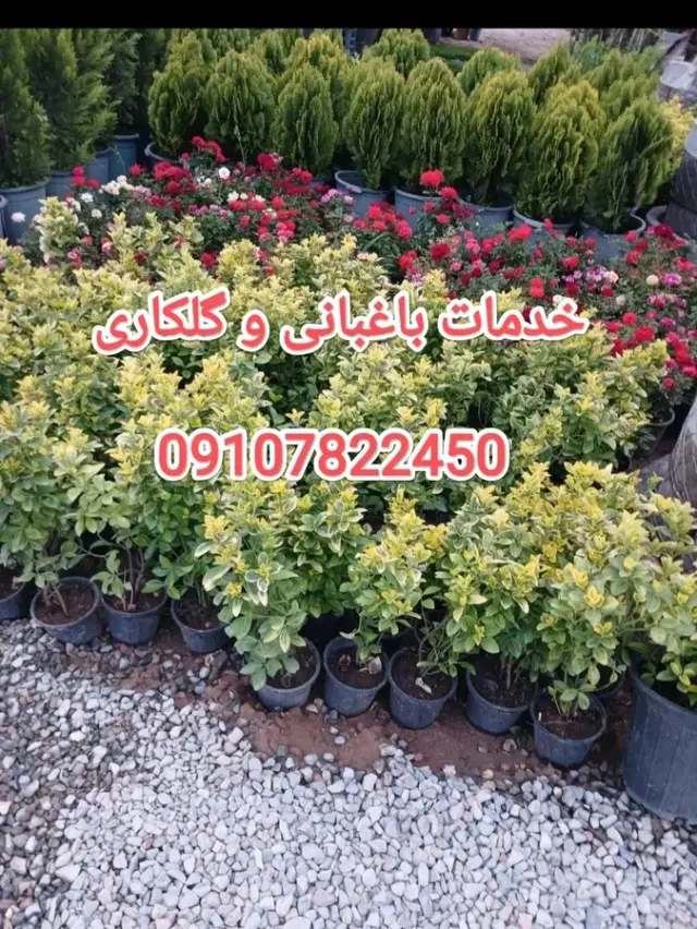 خدمات باغبانی باقری