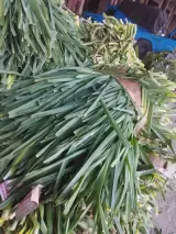 سبزی فروشی ولی زادگان سبزی تونی