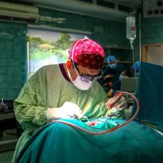 دکتر محسن القاسی