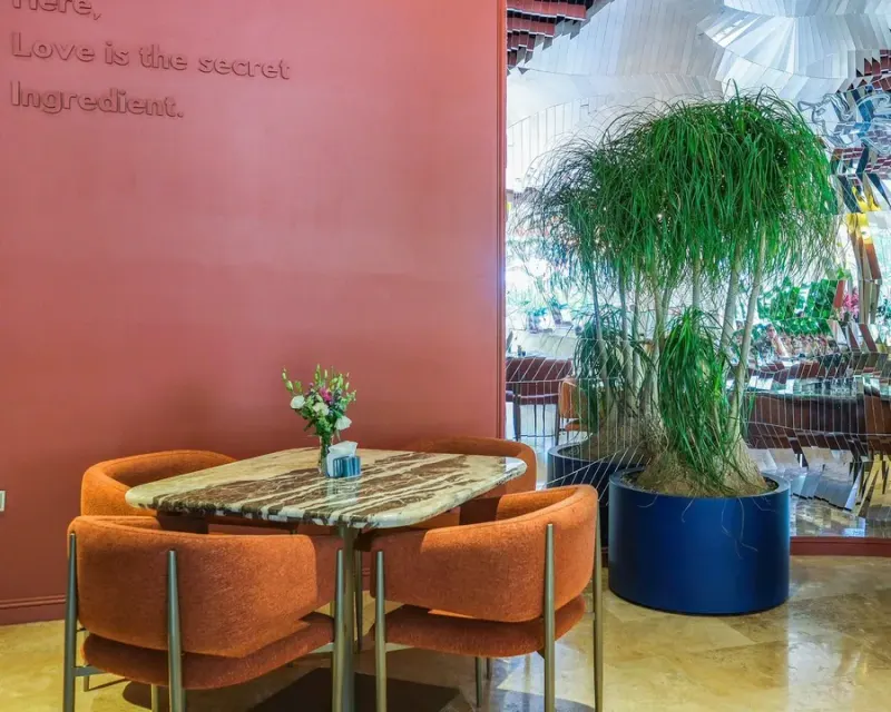 فروش تخصصی گیاه گیالری giallery