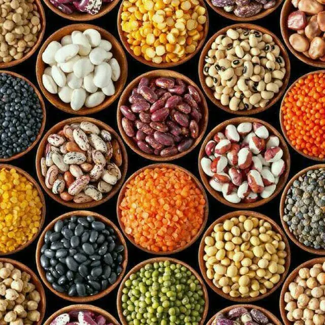 خواربار فروش و پخش حبوبات و گندم