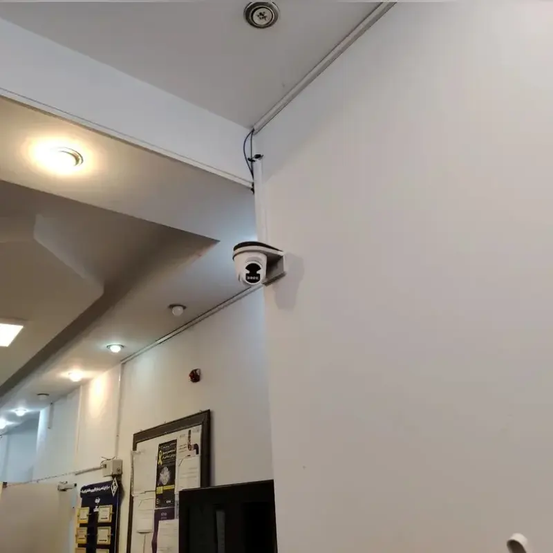 شایاسل