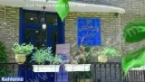 غذای سالم و گیاهی خانه هنرمندان