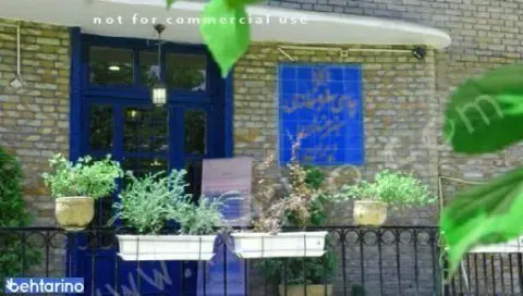 غذای سالم و گیاهی خانه هنرمندان