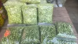 سبزی خردکنی ریحانه تک