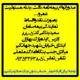 بیمه سامان