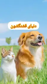پانسیون حیوانات خانگی پت لند🐾