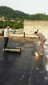 رشید لطیفی
